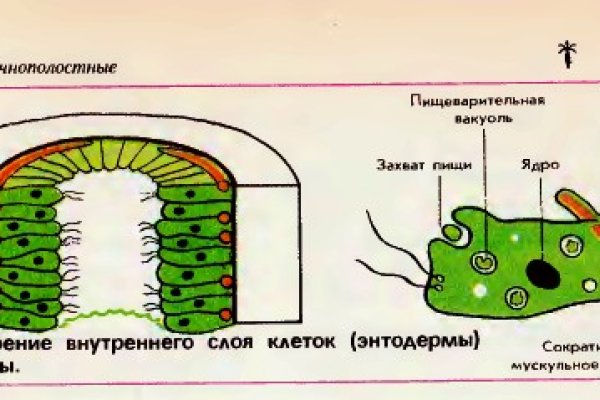 Почему в кракене пользователь не найден