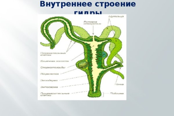 Ссылка кракен официальная тор