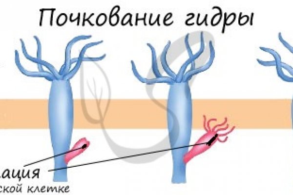 Взломали аккаунт кракен