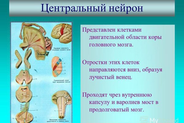 Кракен сайт войти